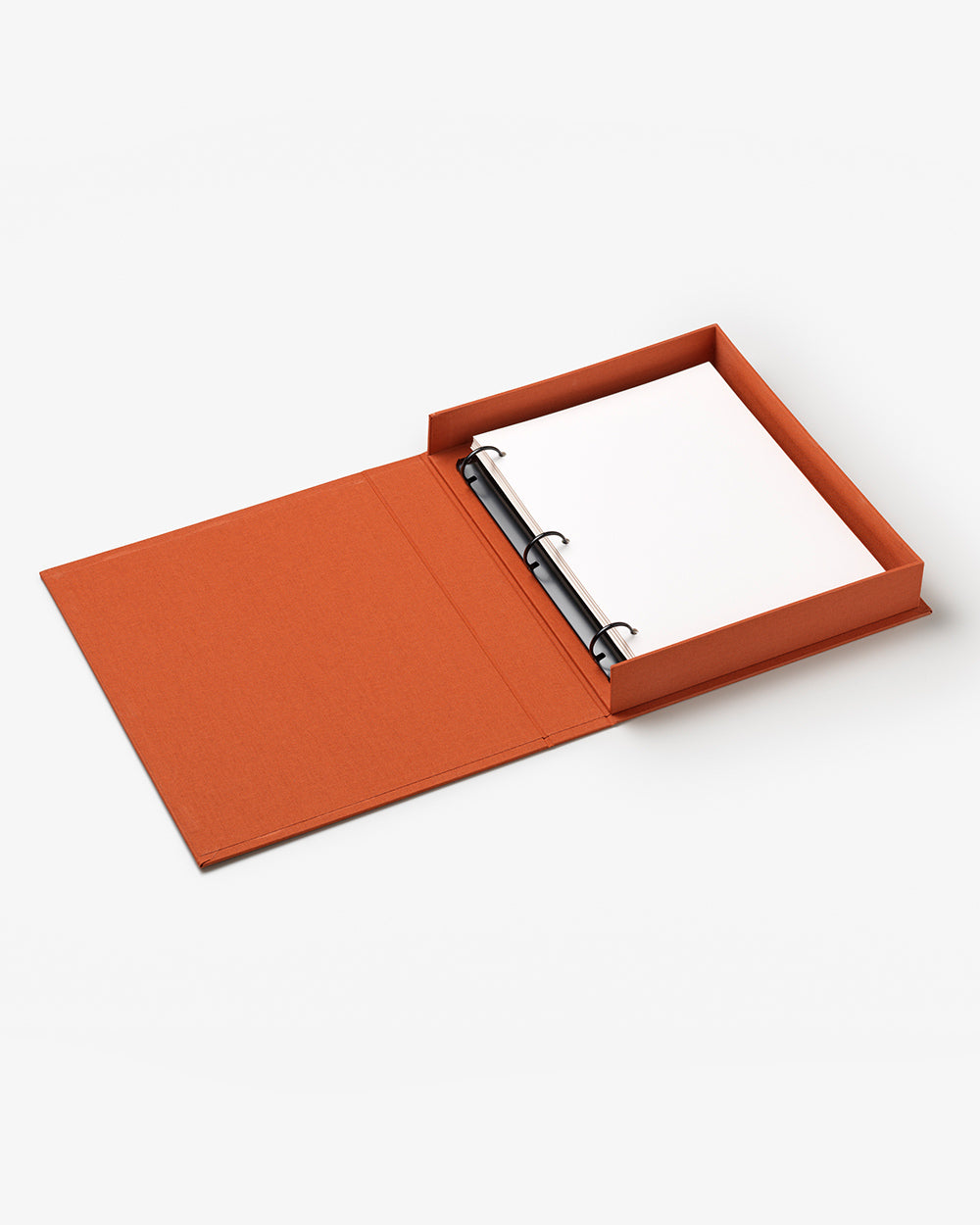 Life In Pictures, Orange