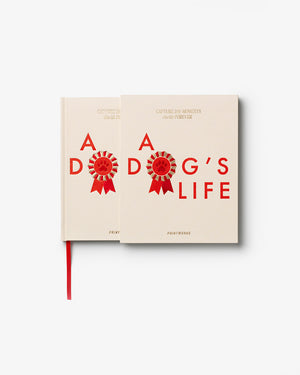A Dog