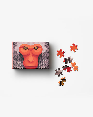 Japanese Macaque 100 pieces