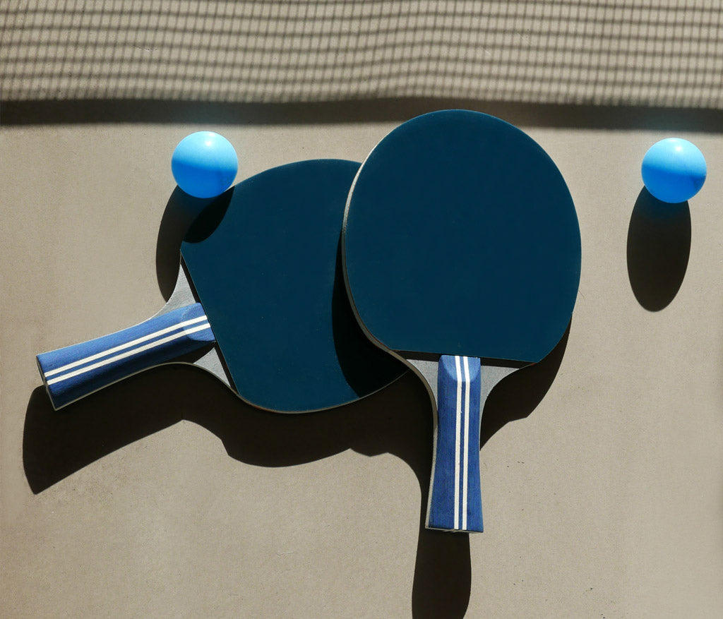 Portable Table Tennis - Ping Pong