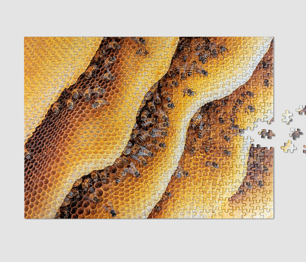 Puzzle - Bee (500 pièces)